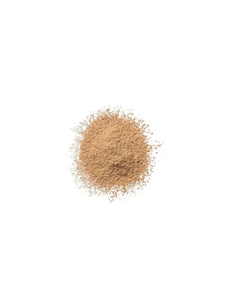 Loose Dust Clinique Blended Nº 04 Transparency 25 g