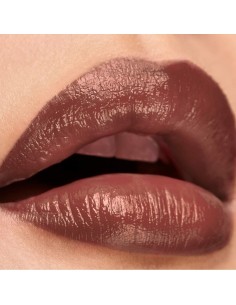 Lip balm Elizabeth Arden Lip Color Nº 05 Ambtous mauve matte 4 g 2