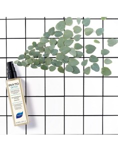 Anti-odour hairspray Phyto Paris Phytodetox 150ml 150 ml Refreshing 2