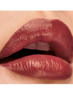 Lip balm Elizabeth Arden Lip Color Nº 02 Embrace pink matte 4 g 2