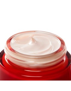 Day Cream Vichy LIFTACTIV 50 ml 2