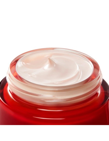 Day Cream Vichy LIFTACTIV 50 ml