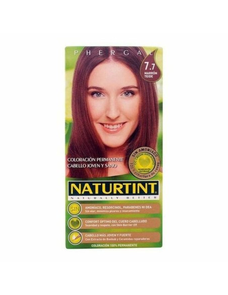 Dye No Ammonia Naturtint Naturtint Naturtint Chesnut Brown 170 ml