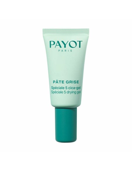 Day Cream Payot PÂTE GRISE 15 ml