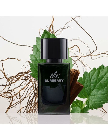 Men's Perfume Burberry Mr. Burberry 100 ml