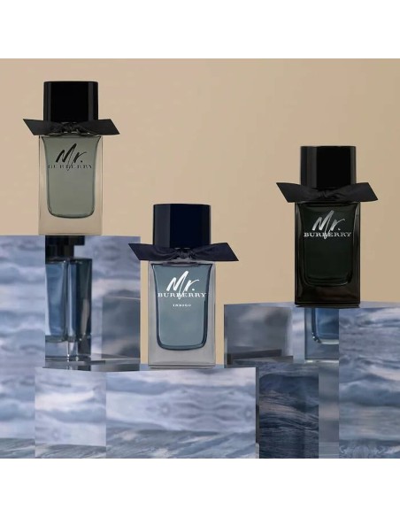 Men's Perfume Burberry Mr. Burberry 100 ml