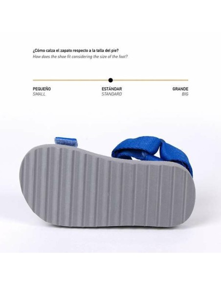 Children's sandals The Paw Patrol Blue