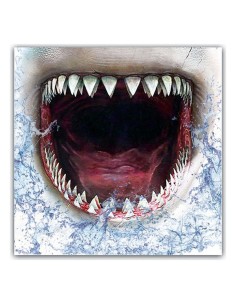 Hygienic Reusable Fabric Mask 6-9 years Shark 2