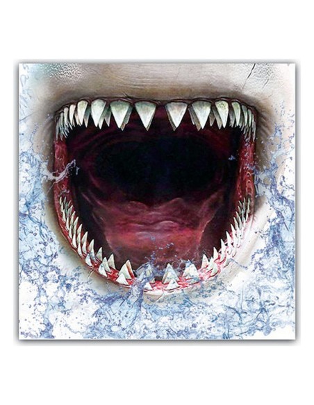 Hygienic Reusable Fabric Mask 6-9 years Shark