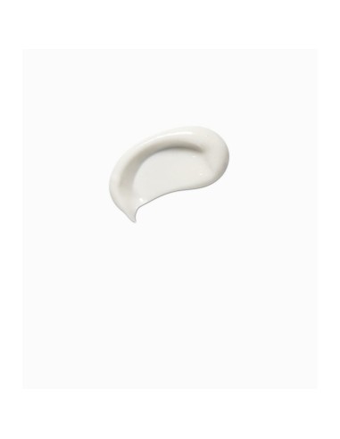 Day Cream Payot Pâte Grise 50 ml