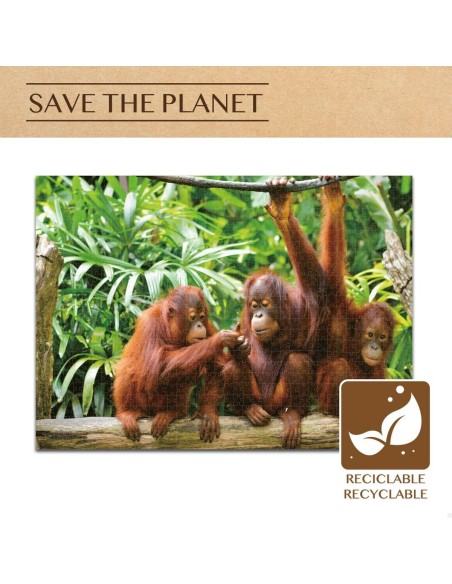 Puzzle Colorbaby Orangutan 6 Units 68 x 50 x 0,1 cm