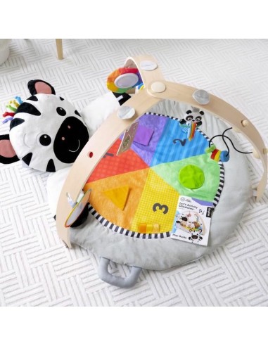 Play mat Baby Einstein