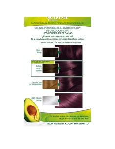 Permanent Dye Garnier Nutrisse Cassis Nº 4,26 2