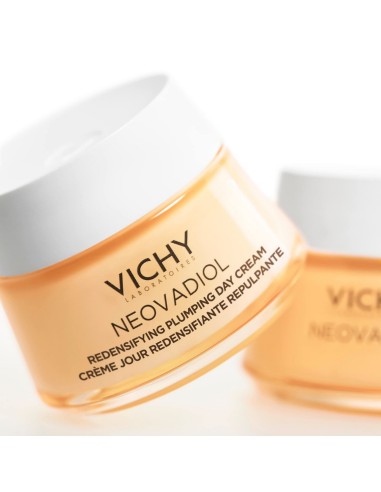 Day Cream Vichy Neovadiol Combination Skin Normal Skin Menopause (50 ml)