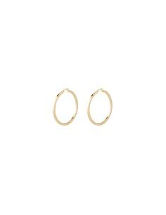 Ladies' Earrings Guess JUBE04199JWYGT-U
