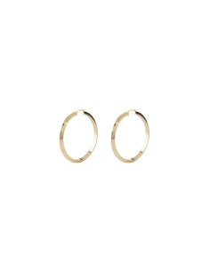 Ladies' Earrings Guess JUBE04193JWYGT-U