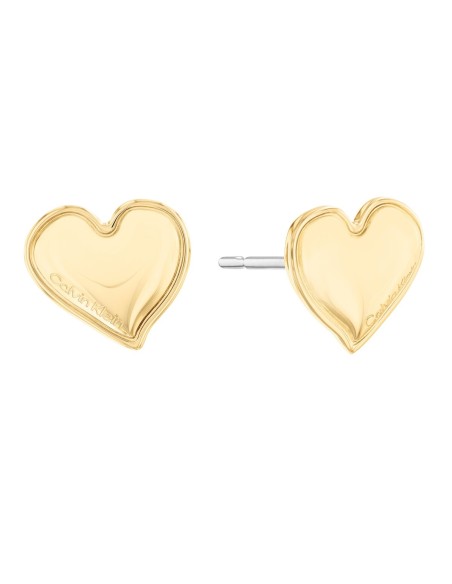 Ladies' Earrings Calvin Klein 35000302 Sterling silver 925 Golden