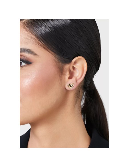 Ladies' Earrings Calvin Klein 35000302 Sterling silver 925 Golden