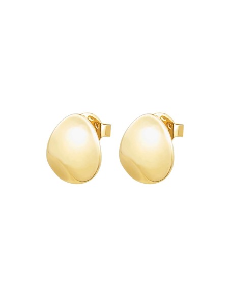 Ladies' Earrings Breil TJ3235