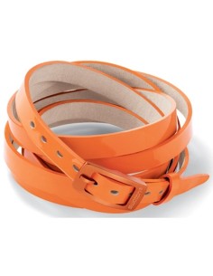 Unisex Bracelet Swatch JBO010-U