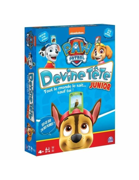Card Game Spin Master