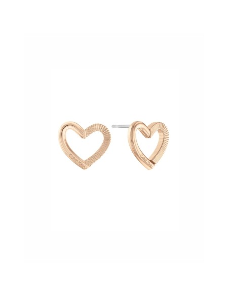 Ladies' Earrings Calvin Klein 35000392 Sterling silver 925 Golden