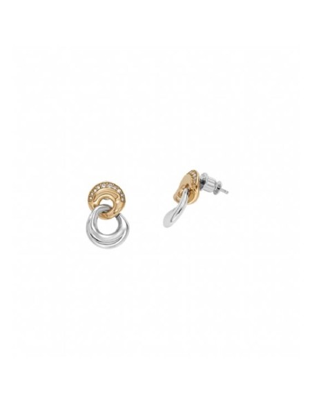 Ladies' Earrings Skagen SKJ1609998