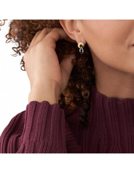 Ladies' Earrings Skagen SKJ1609998