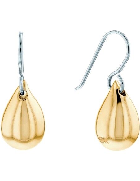 Ladies' Earrings Calvin Klein 1681338