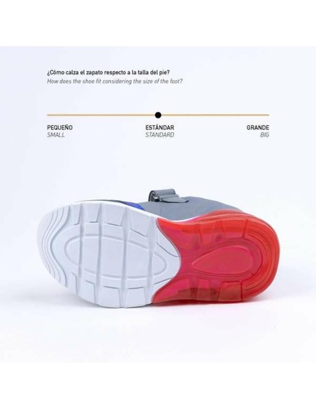 Sports Shoes for Kids The Paw Patrol Light grey