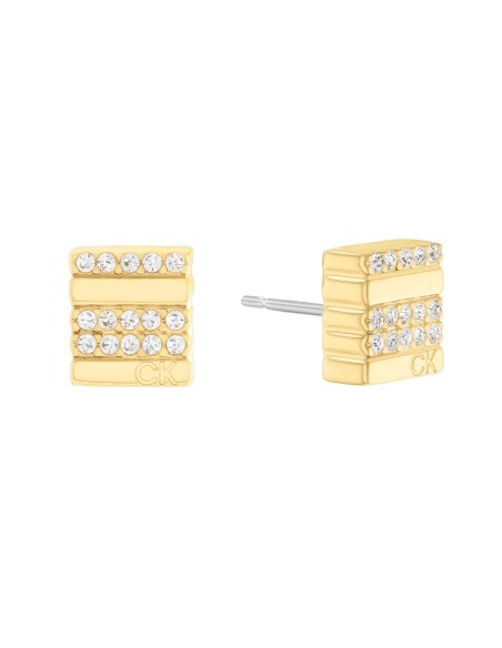 Ladies' Earrings Calvin Klein 35000371