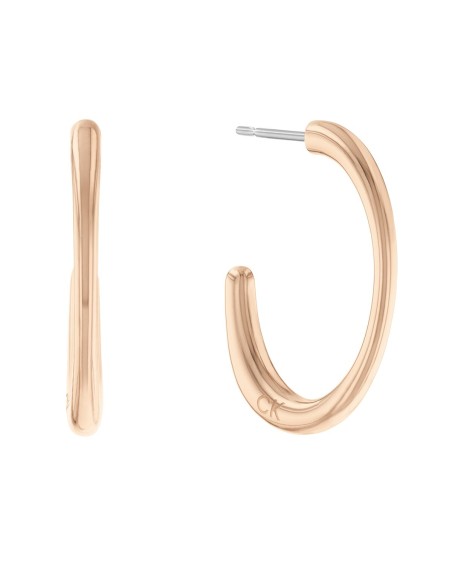 Ladies' Earrings Calvin Klein 35000348 Sterling silver 925 Golden