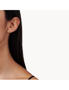 Ladies' Earrings Michael Kors MKC1486AN791 2