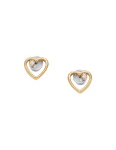 Ladies' Earrings Skagen SKJB1008710