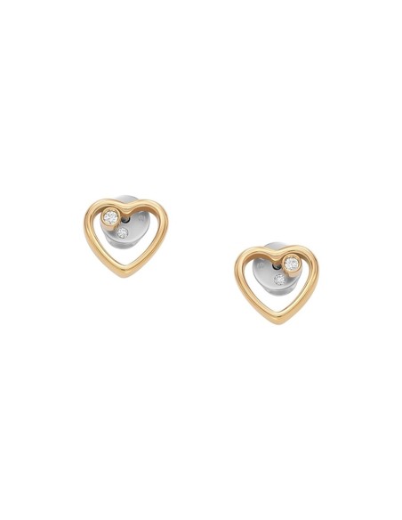 Ladies' Earrings Skagen SKJB1008710