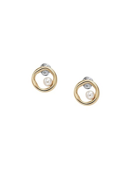 Ladies' Earrings Skagen SKJB1009710
