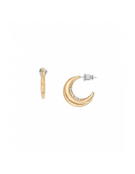 Ladies' Earrings Skagen SKJ1611710