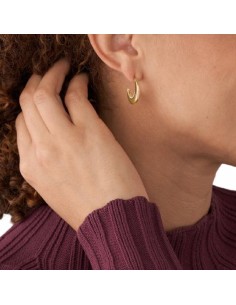 Ladies' Earrings Skagen SKJ1611710 2