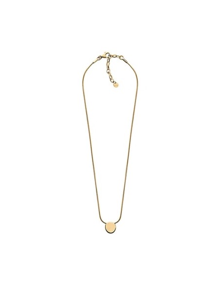 Ladies' Necklace Skagen SKJ1598710