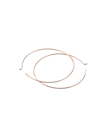 Ladies' Earrings Michael Kors MKC1558AH040