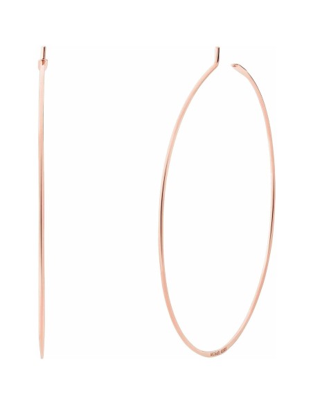 Ladies' Earrings Michael Kors MKC1558AH040