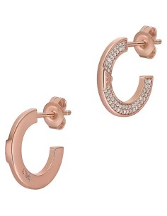 Ladies' Earrings Emporio Armani EG3590221
