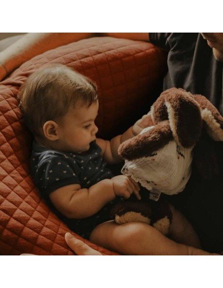 Breastfeeding Cushion Béaba Terracotta