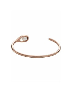 Ladies' Bracelet Skagen SKJ1748791 2