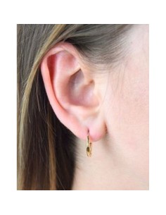 Ladies' Earrings Tommy Hilfiger 2780557 2
