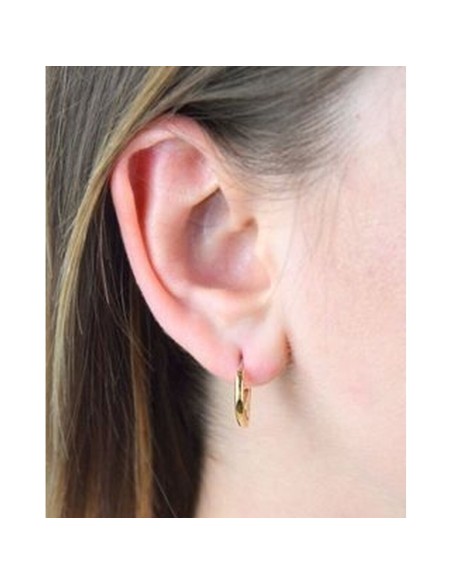 Ladies' Earrings Tommy Hilfiger 2780557