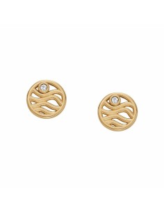 Ladies' Earrings Skagen SKJ1761710 Metal 2