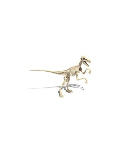 Dinosaur Clementoni Archéo Ludic Vélociraptor 2