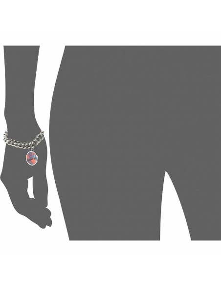 Ladies' Bracelet Tommy Hilfiger 2700972