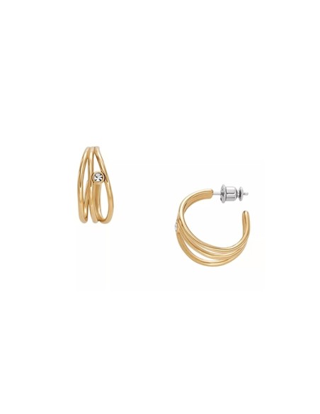 Ladies' Earrings Skagen SKJ1759710